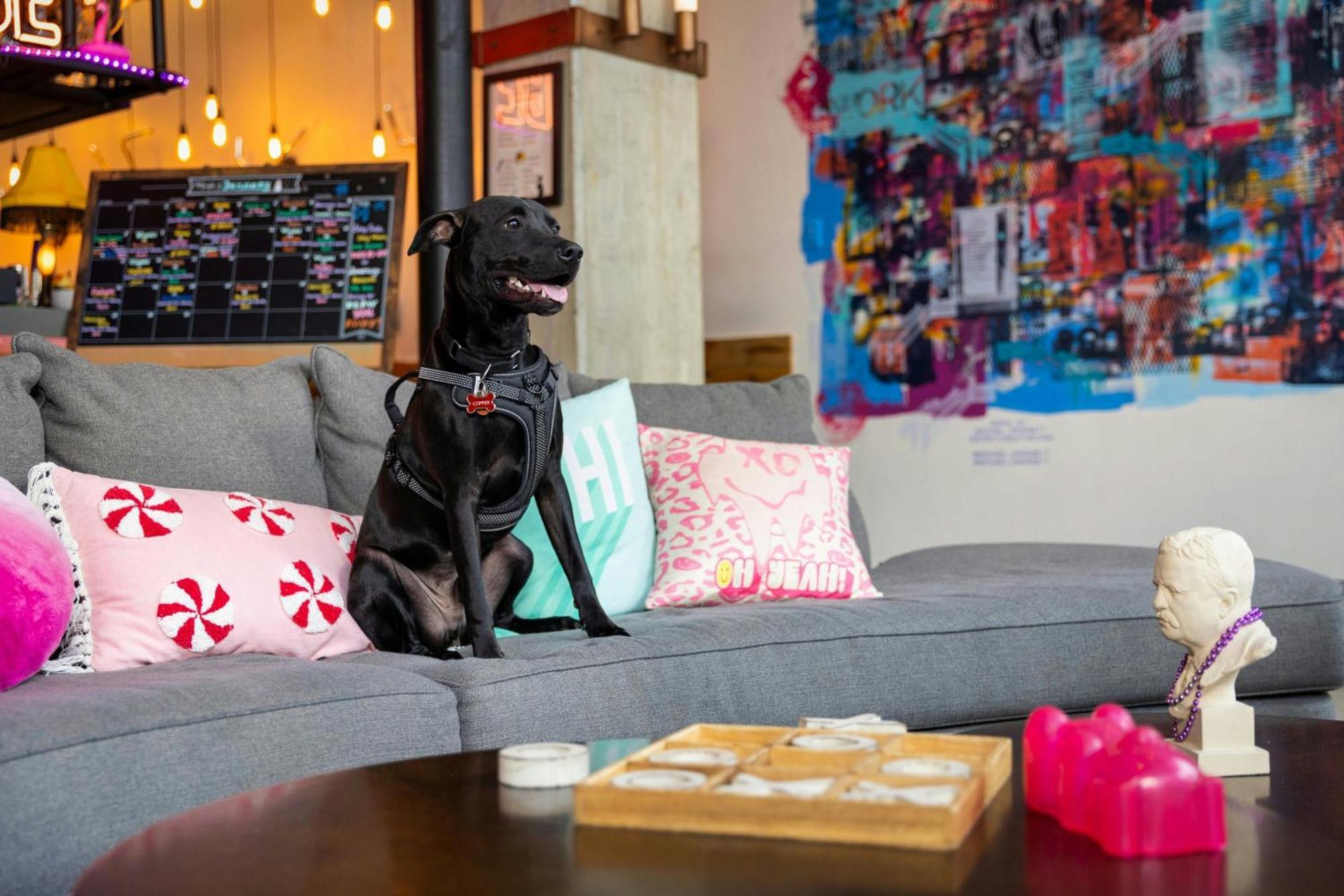 Moxy Washington, Dc Downtown Hotel Exterior foto