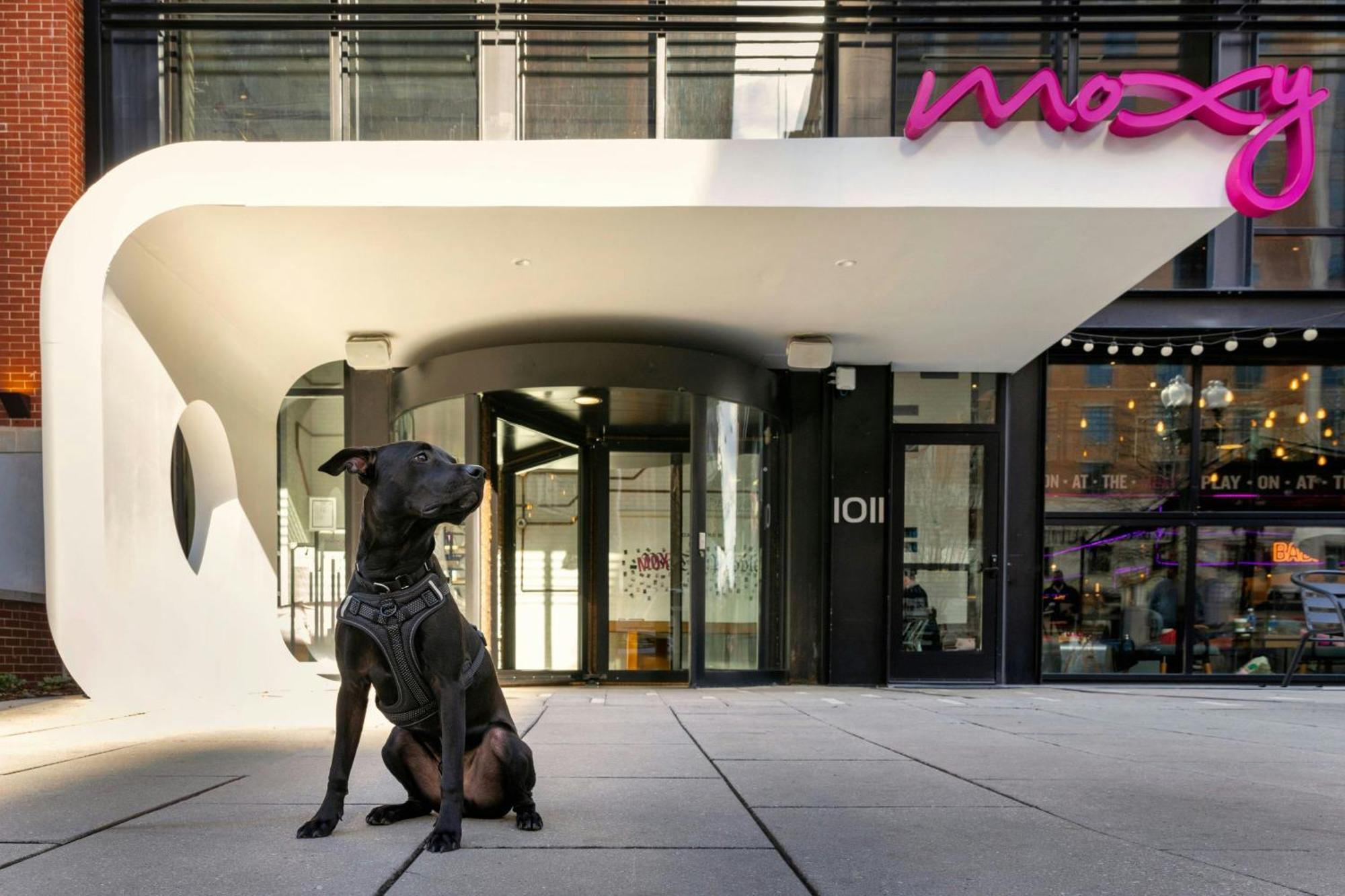 Moxy Washington, Dc Downtown Hotel Exterior foto